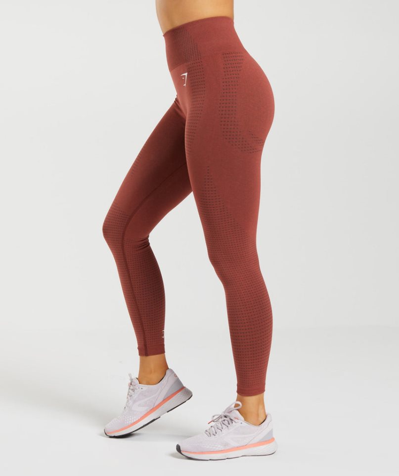 Women's Gymshark Vital Seamless 2.0 Leggings Brown | NZ 1PRXNC